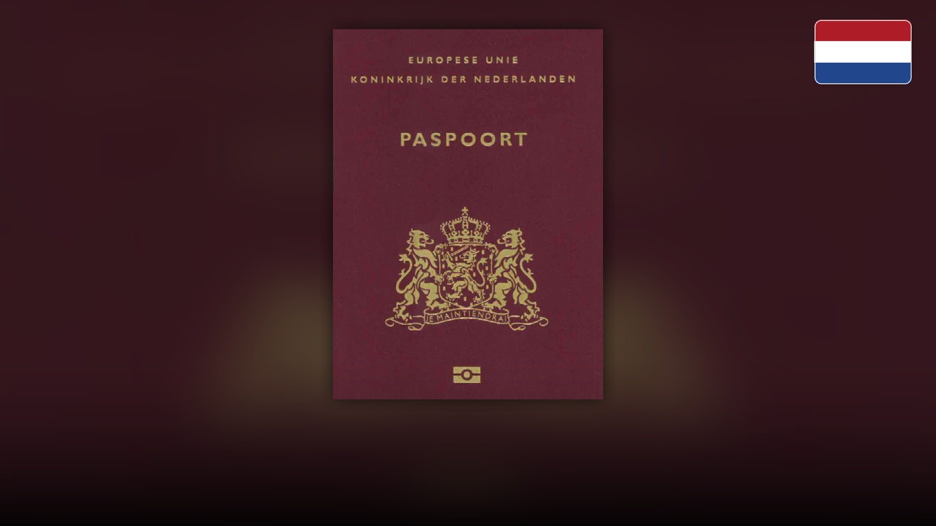Burgundy Dutch biometric passport booklet with the Royal Netherlands coat of arms.