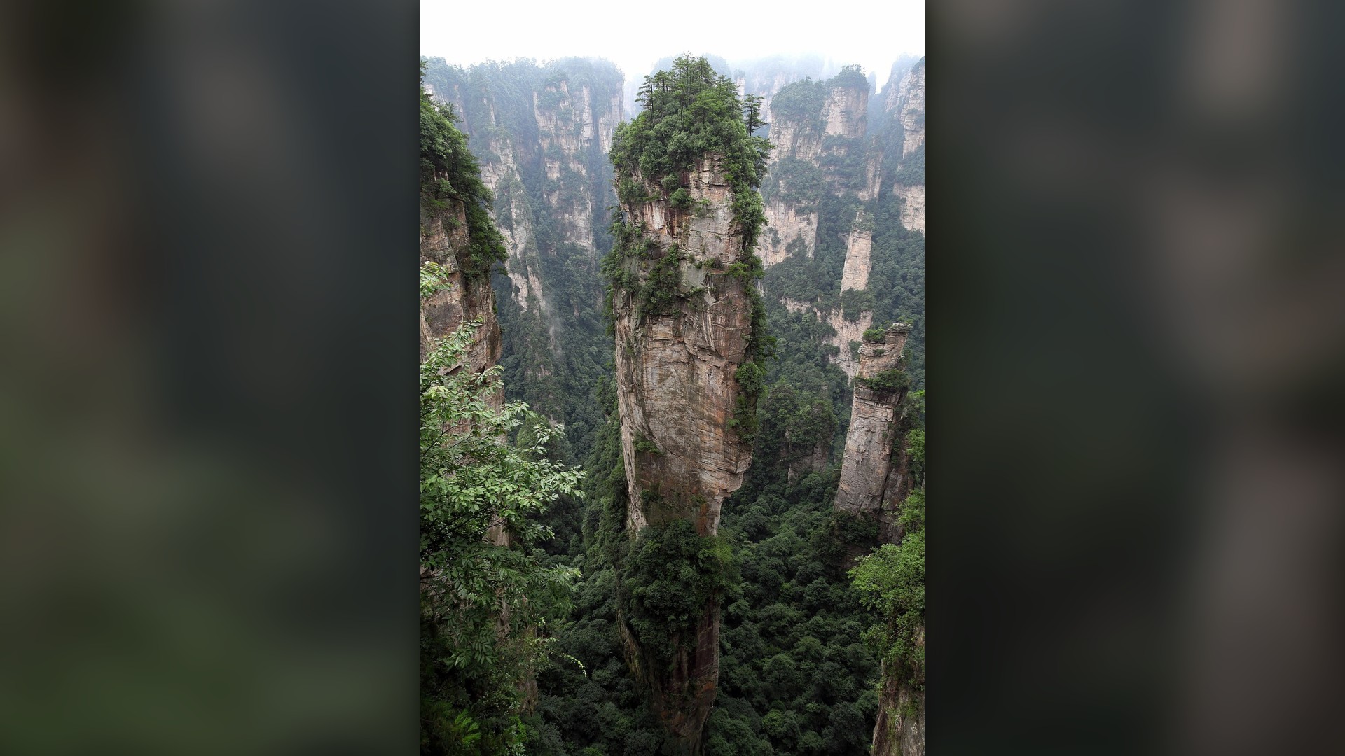 Vertical quartz-sandstone rock pillars rising through mist in Zhangjiajie National Forest Park, China.