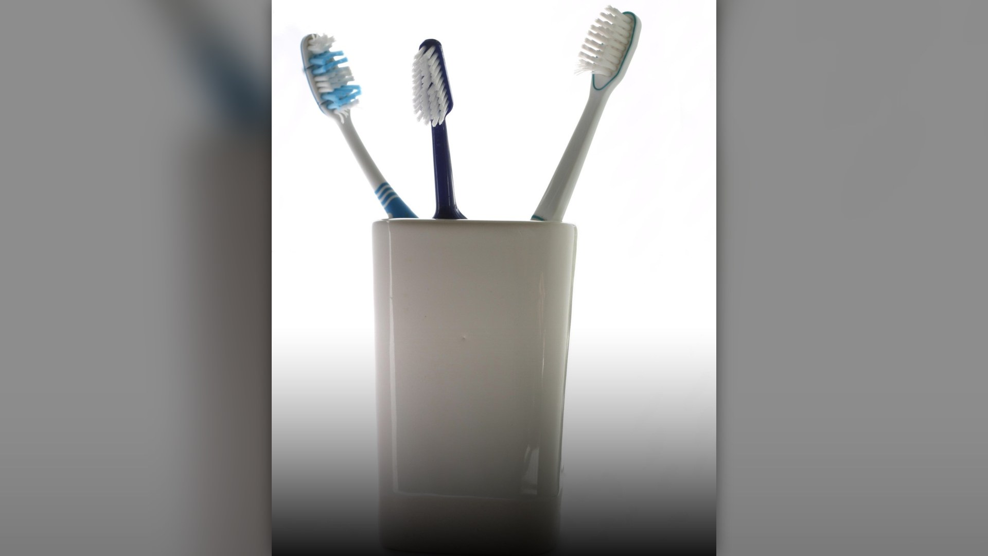 Toothbrushes resting inside a bathroom toothbrush holder cup.