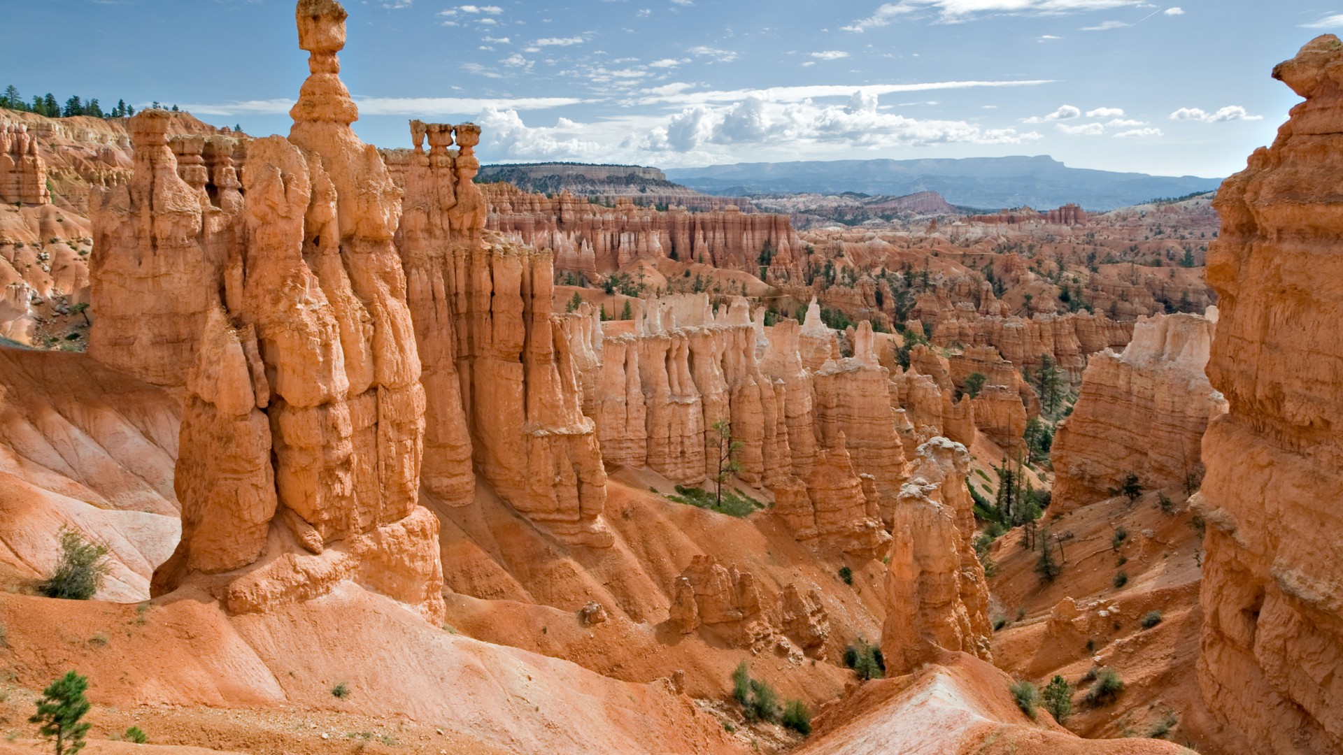 Thousands of orange and red limestone hoodoo spires filling the Bryce Amphitheater in Utah.