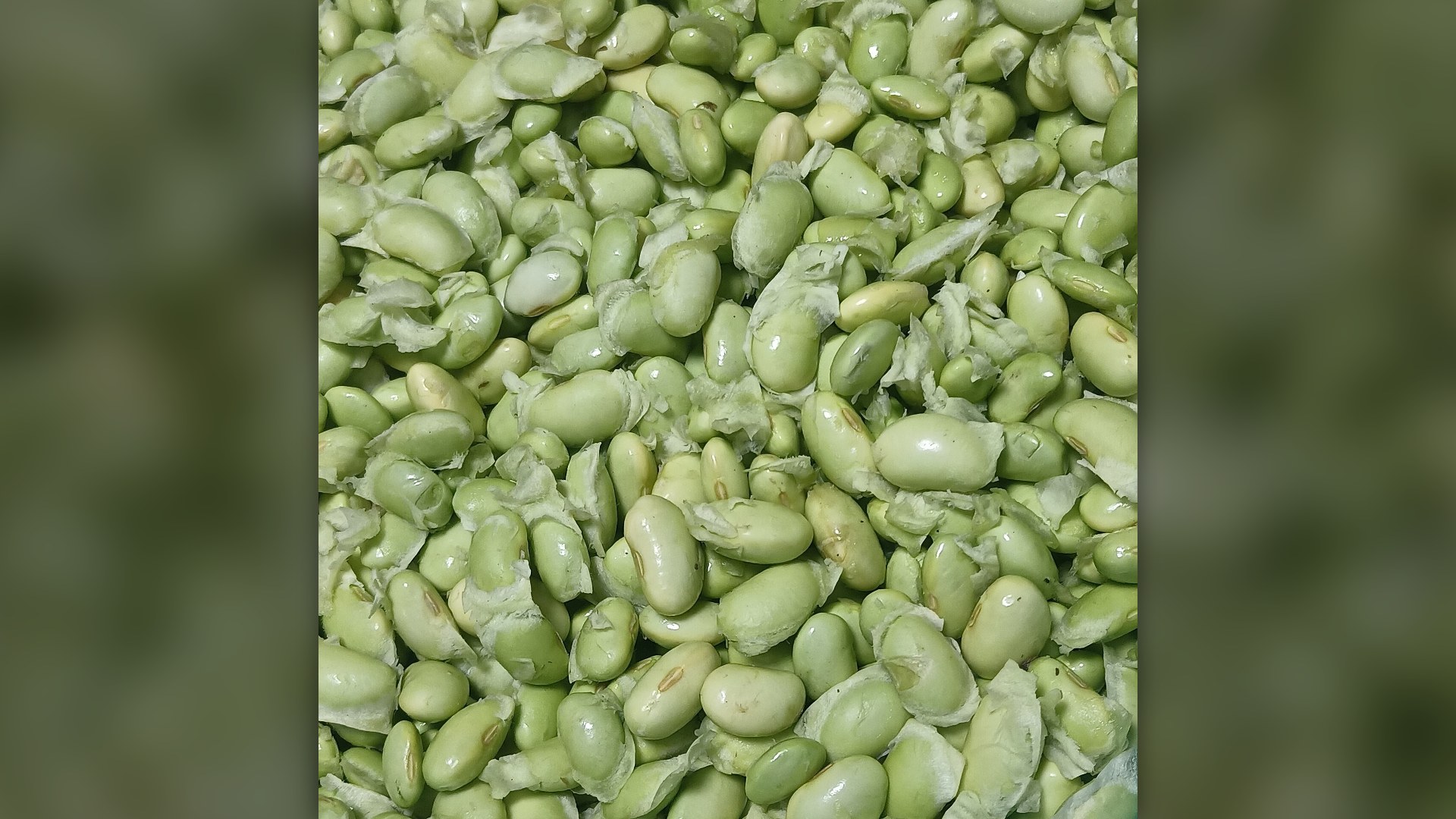 Fresh shelled edamame soybeans packed with plant protein and fiber