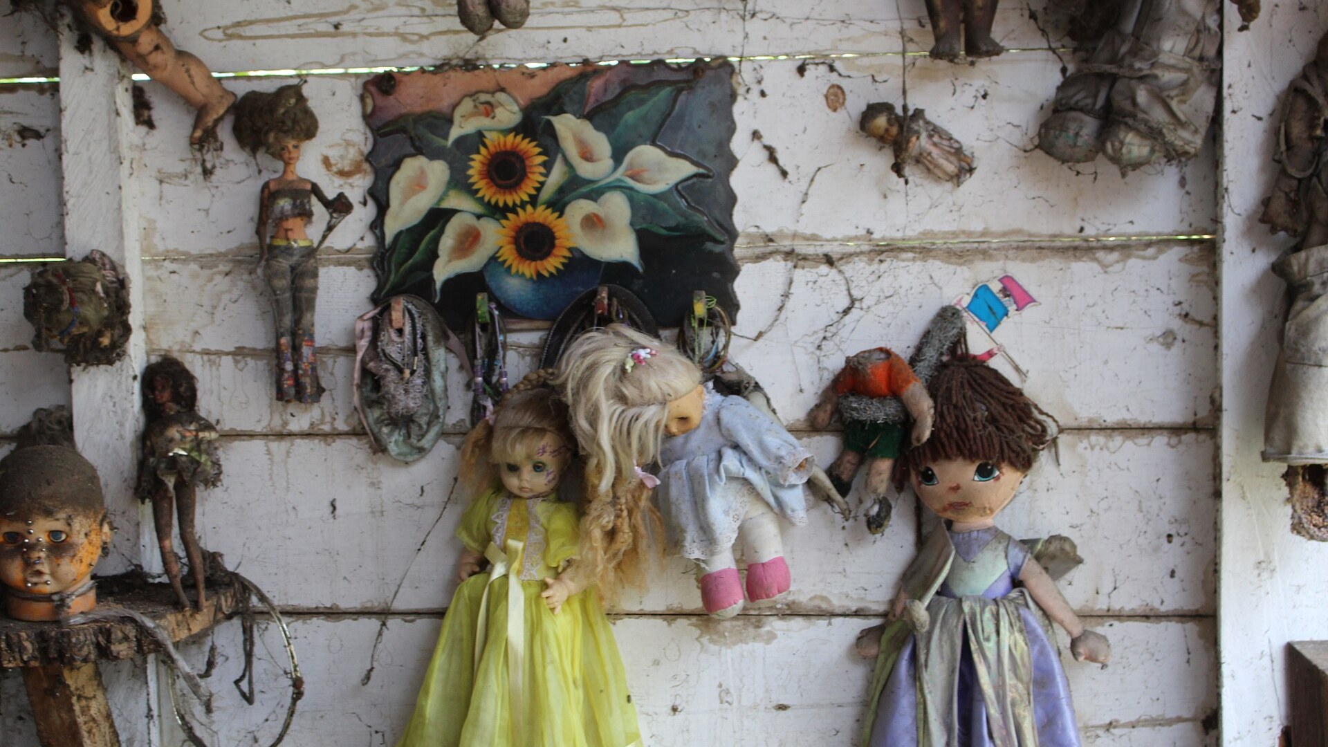Decaying sun-bleached dolls tied to trees on the Island of the Dolls in Mexico