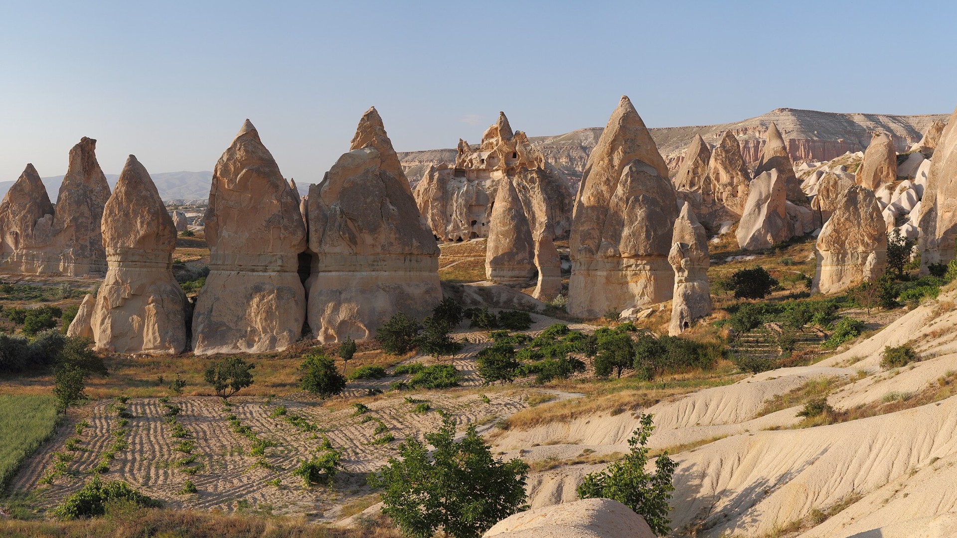 Conical volcanic tuff rock formations and fairy chimneys rising across Göreme in Cappadocia, Turkey.