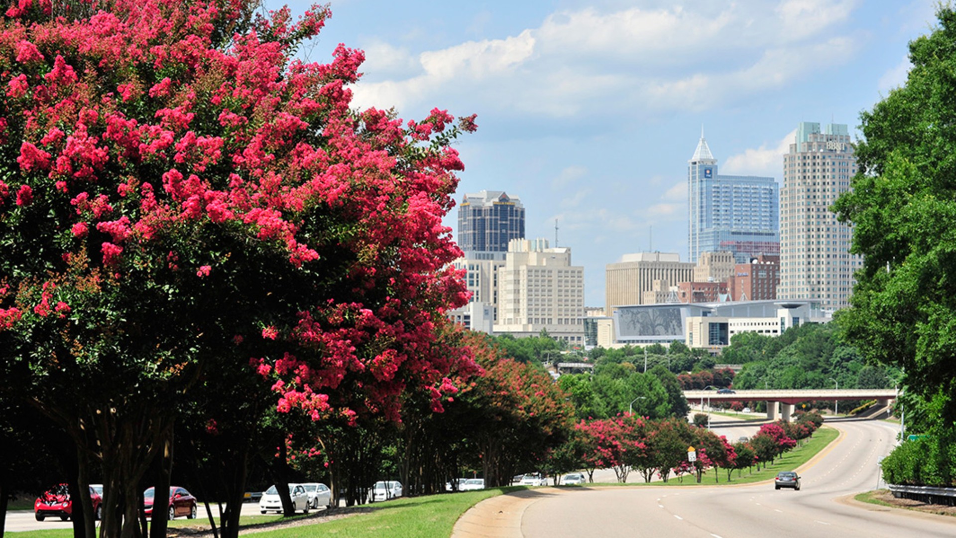 Raleigh, North Carolina skyline -- 27 September 2014 (panoramio.com)