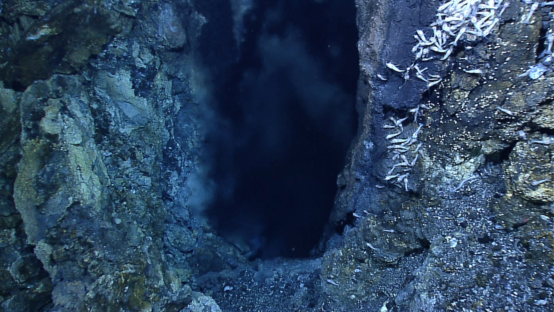 NOAA Okeanos Explorer photograph of a deep-sea hydrothermal vent on the Mid-Cayman Rise.