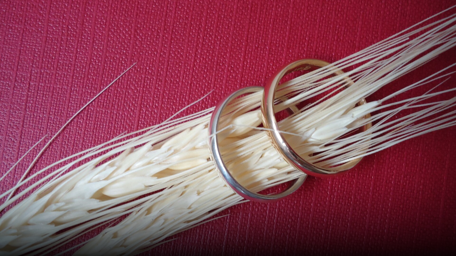 Pair of polished gold wedding rings resting together.