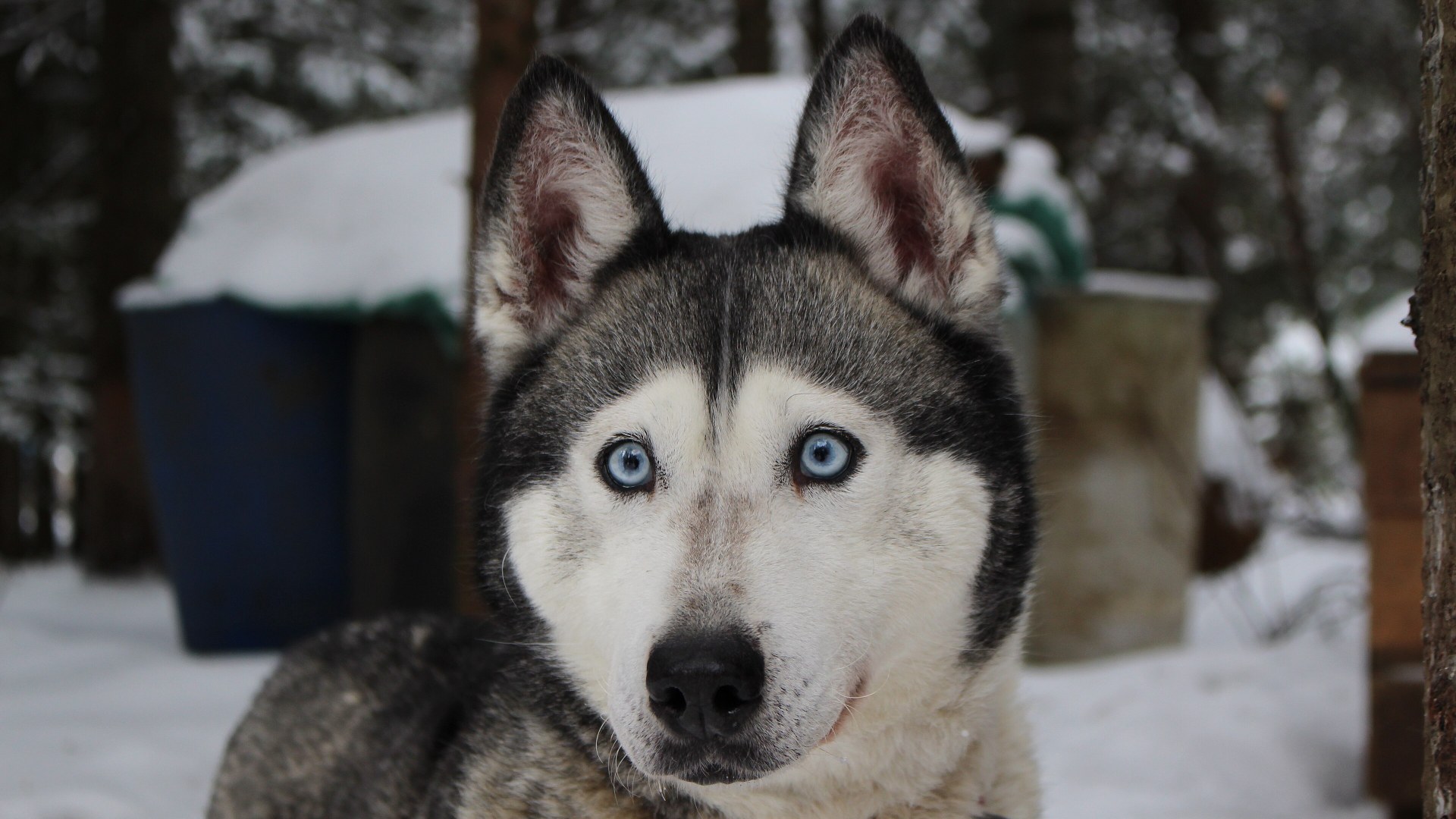 1. Luna