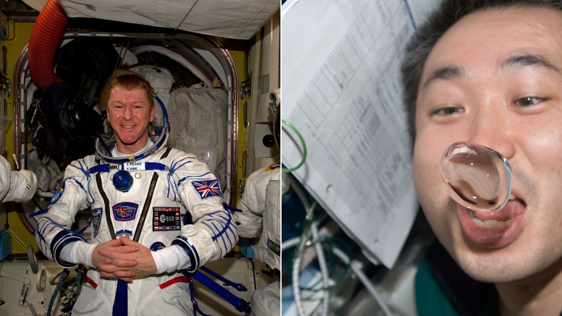 Could You Survive Living in Space as an Astronaut?