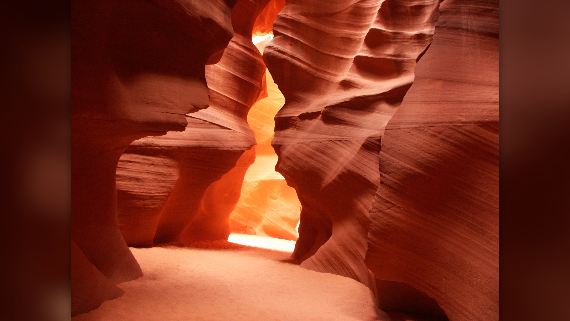 Sculpted orange and purple sandstone walls glowing inside Lower Antelope Canyon, Arizona.