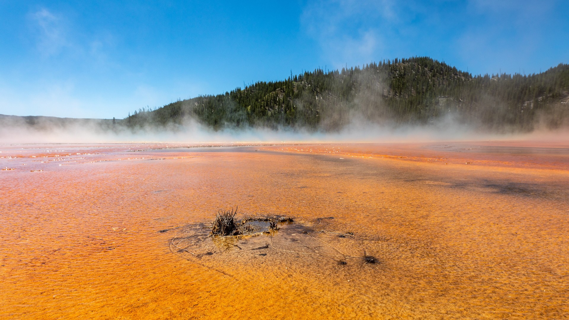 Aerial view of the sapphire blue center and rainbow microbial rings of Grand Prismatic Spring in Yellowstone.