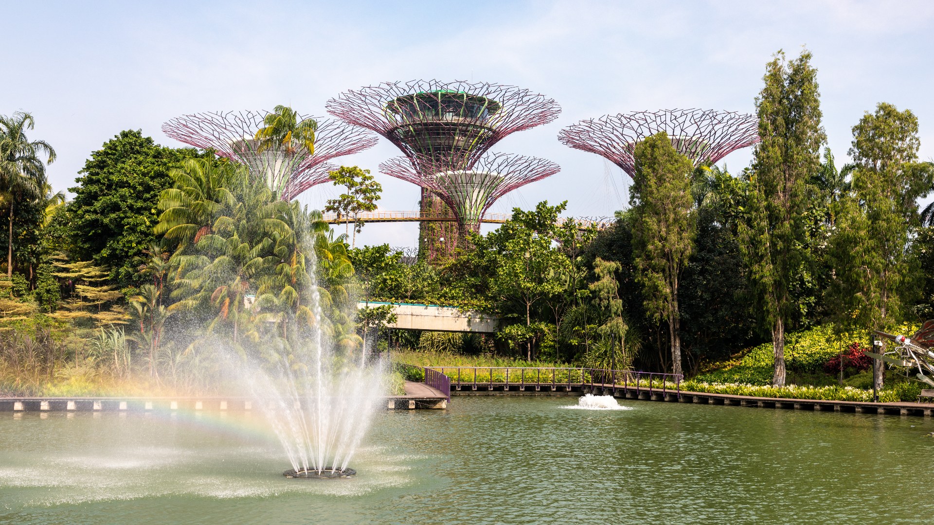 29. Singapore