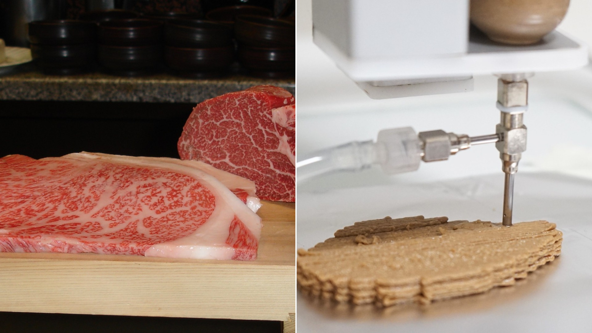 Would you eat these lab grown foods? The weirdest meal of the future