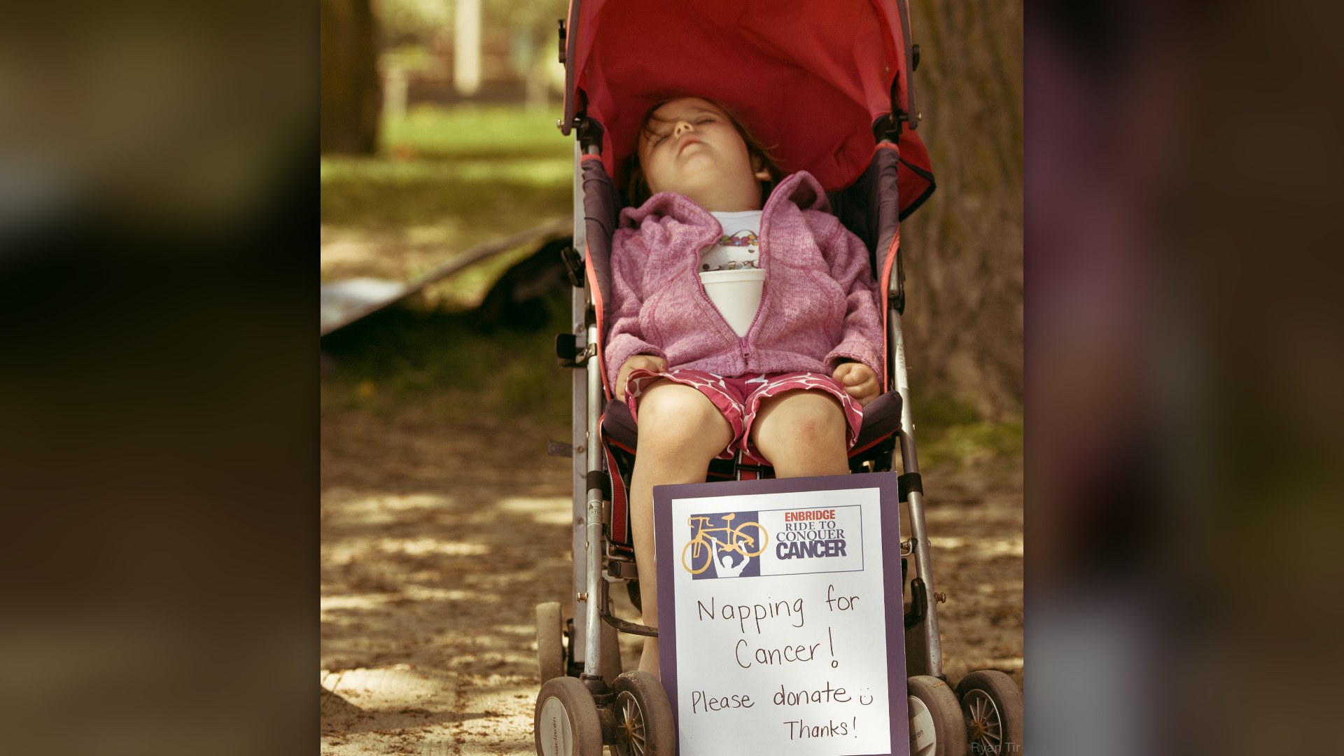 Slide 5: Toddlers (1–2 Years)