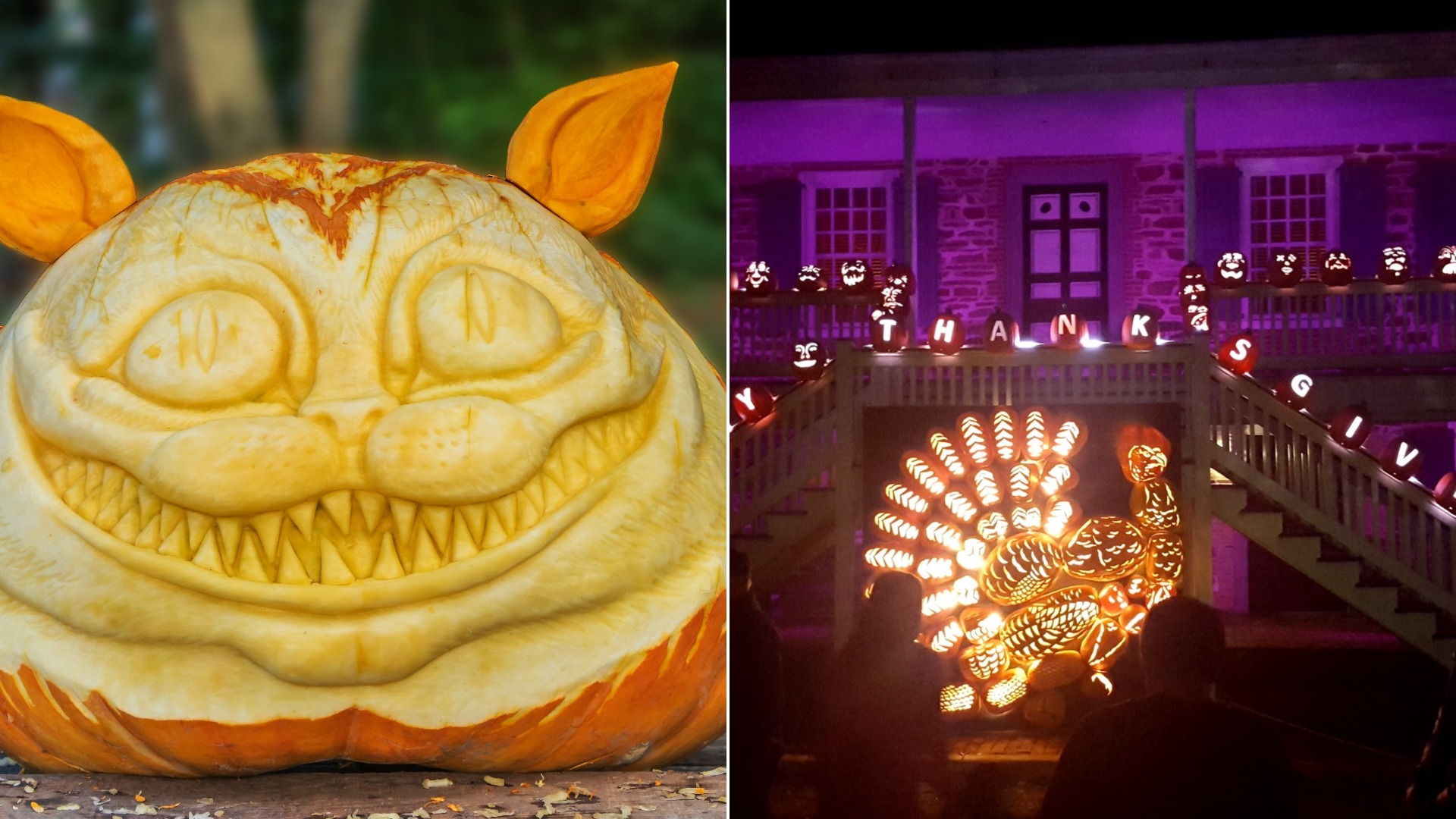 Pumpkin Designs That Are Almost Too Good to Carve