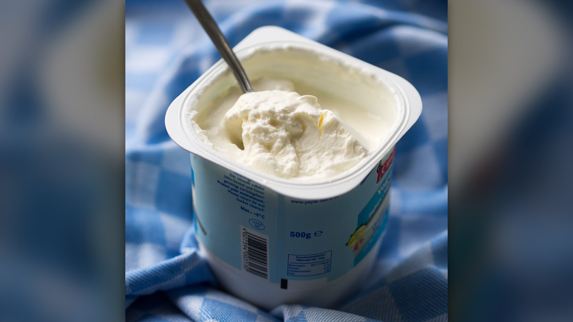 Bowl of thick strained nonfat plain Greek yogurt high in protein