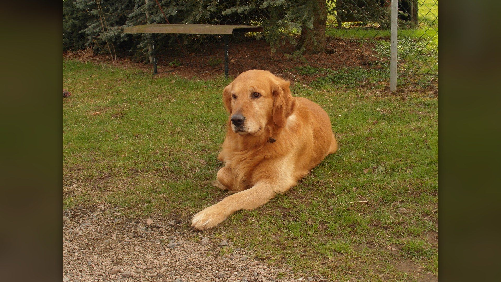 2. Charlie