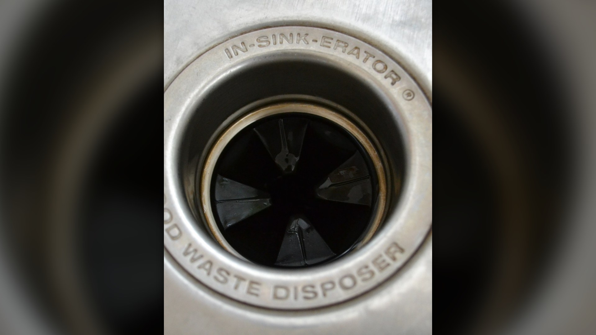 Garbage disposal sink drain opening