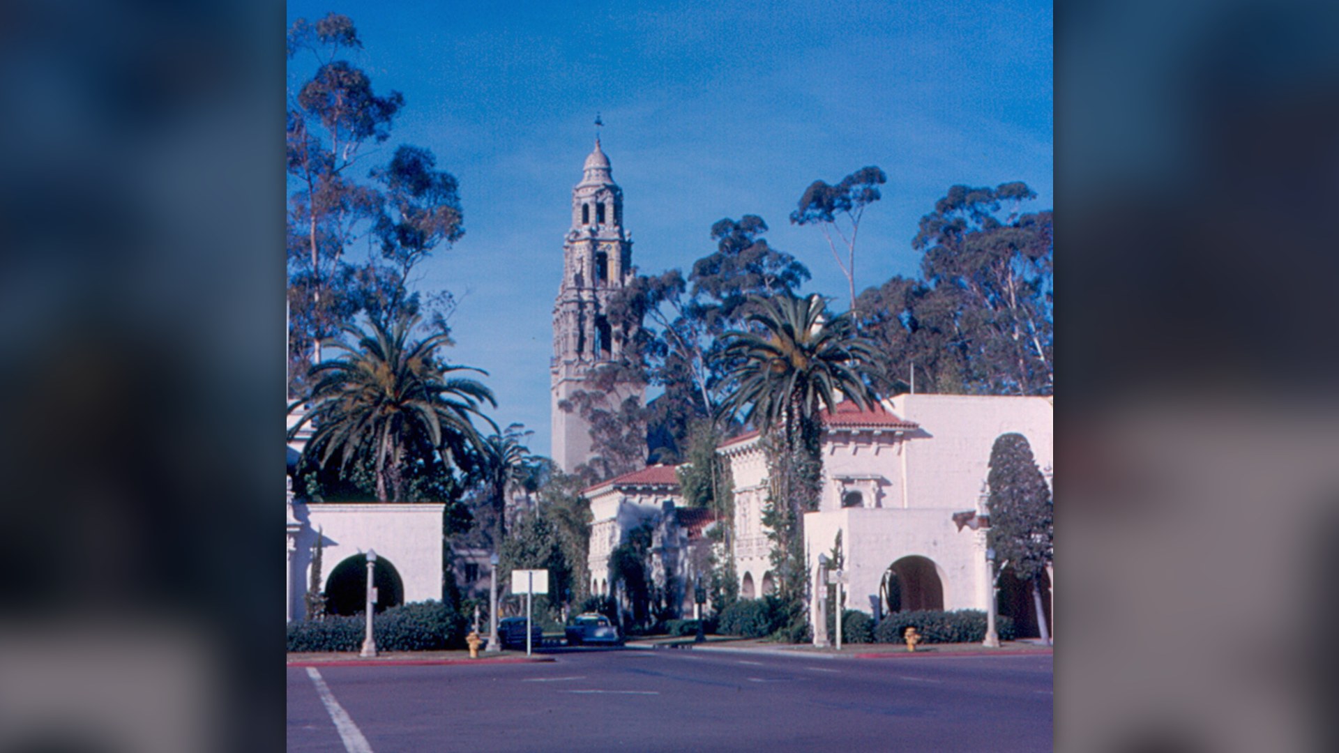 Balboa Park and California Tower surrounded by trees in San Diego, California.