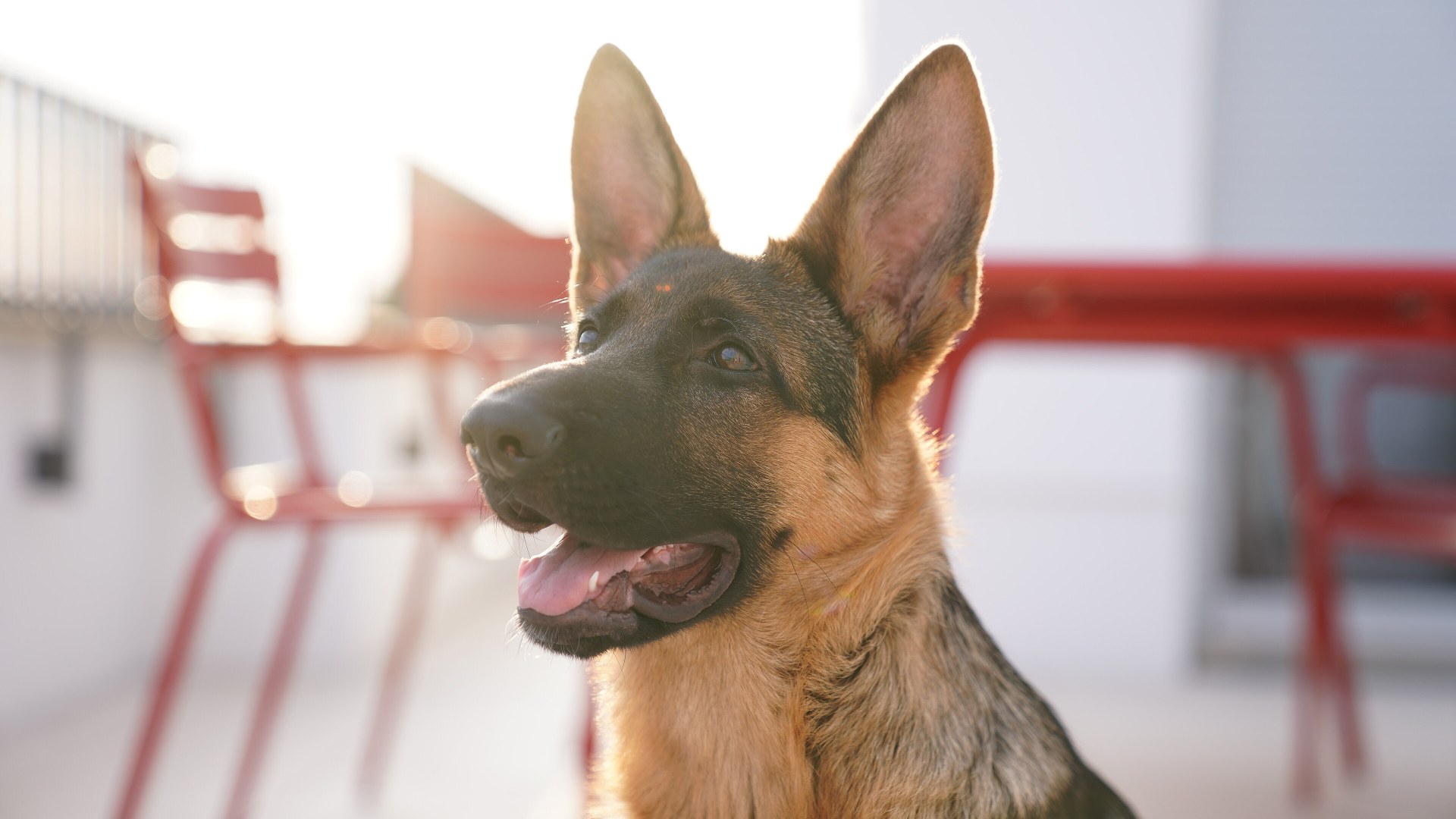 8. Max