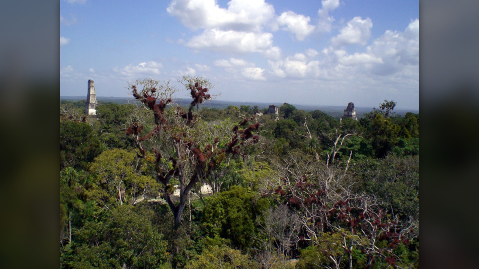 15. Lidar Mapping Of Mayan Megalopolises (2018)