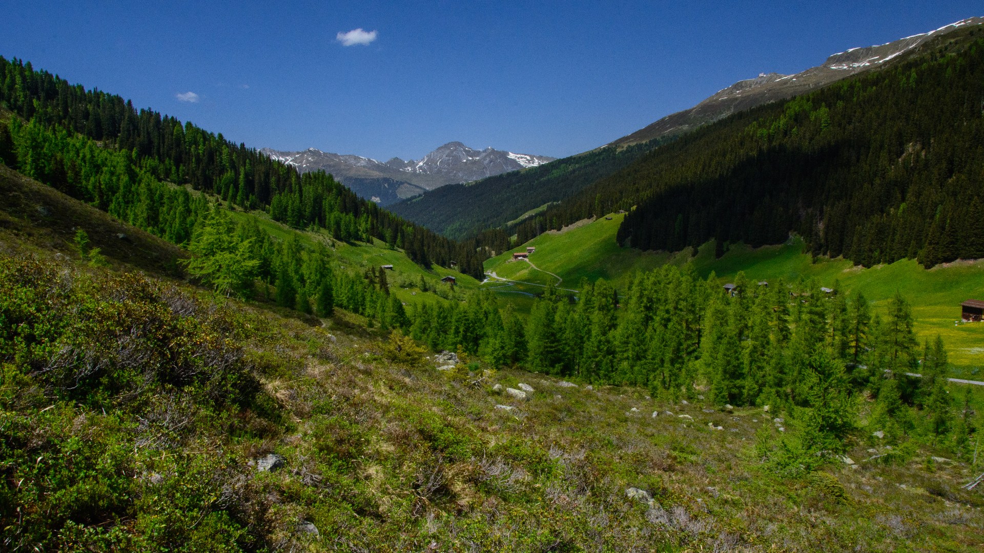 6. Switzerland