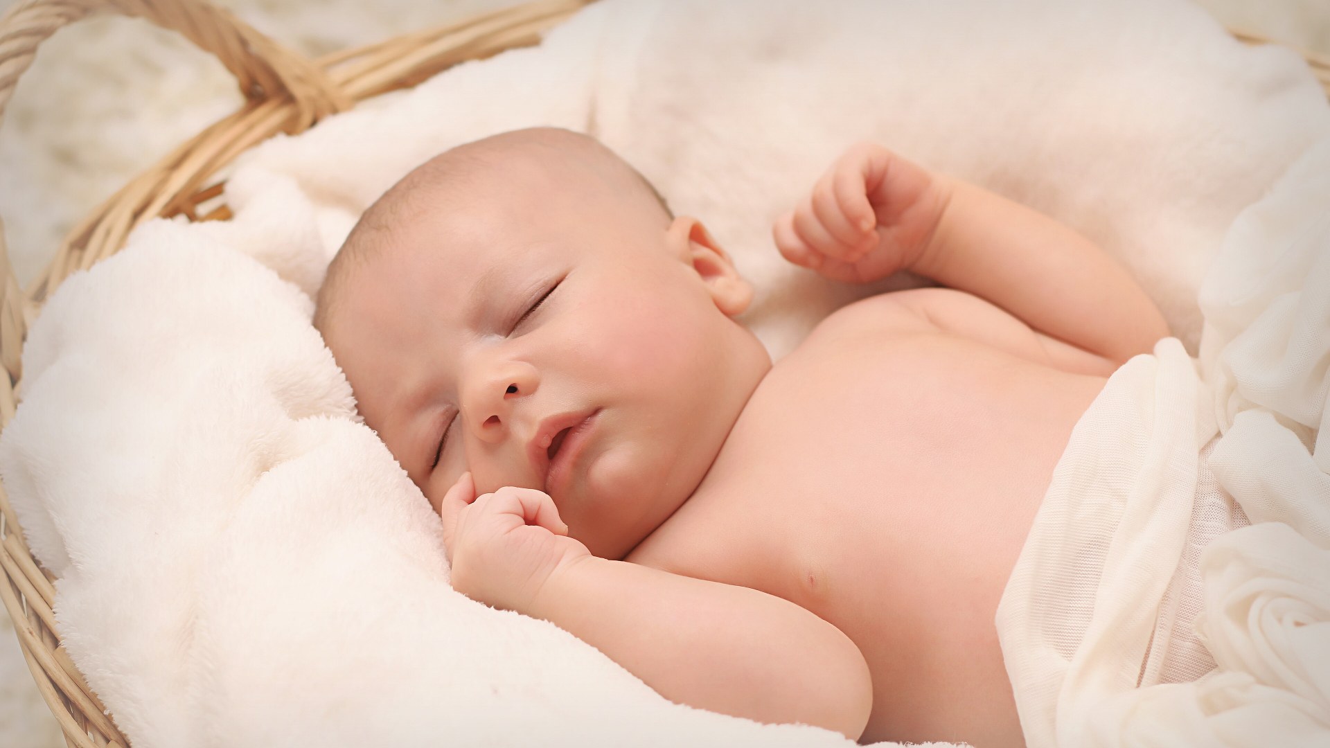Slide 3: Newborns (0–3 Months)