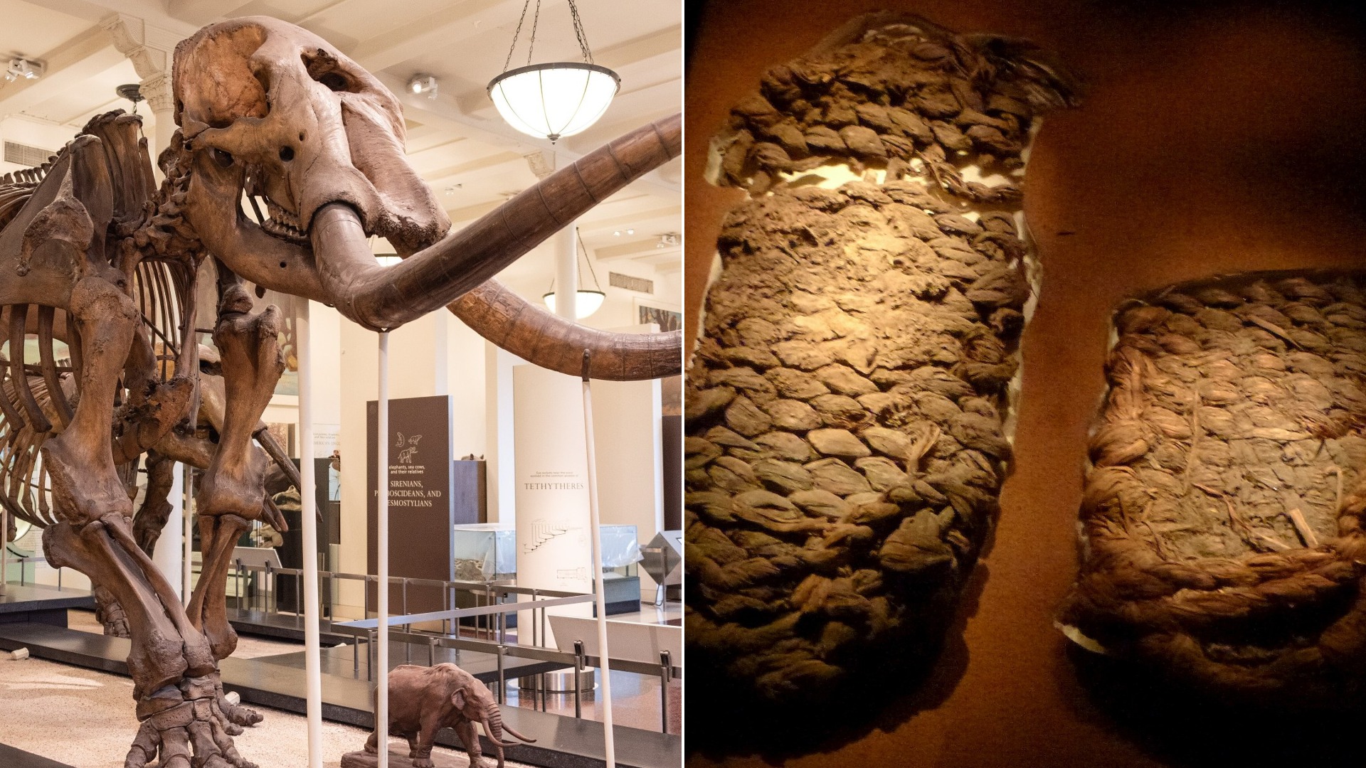 15 Oldest Things Ever Found in America