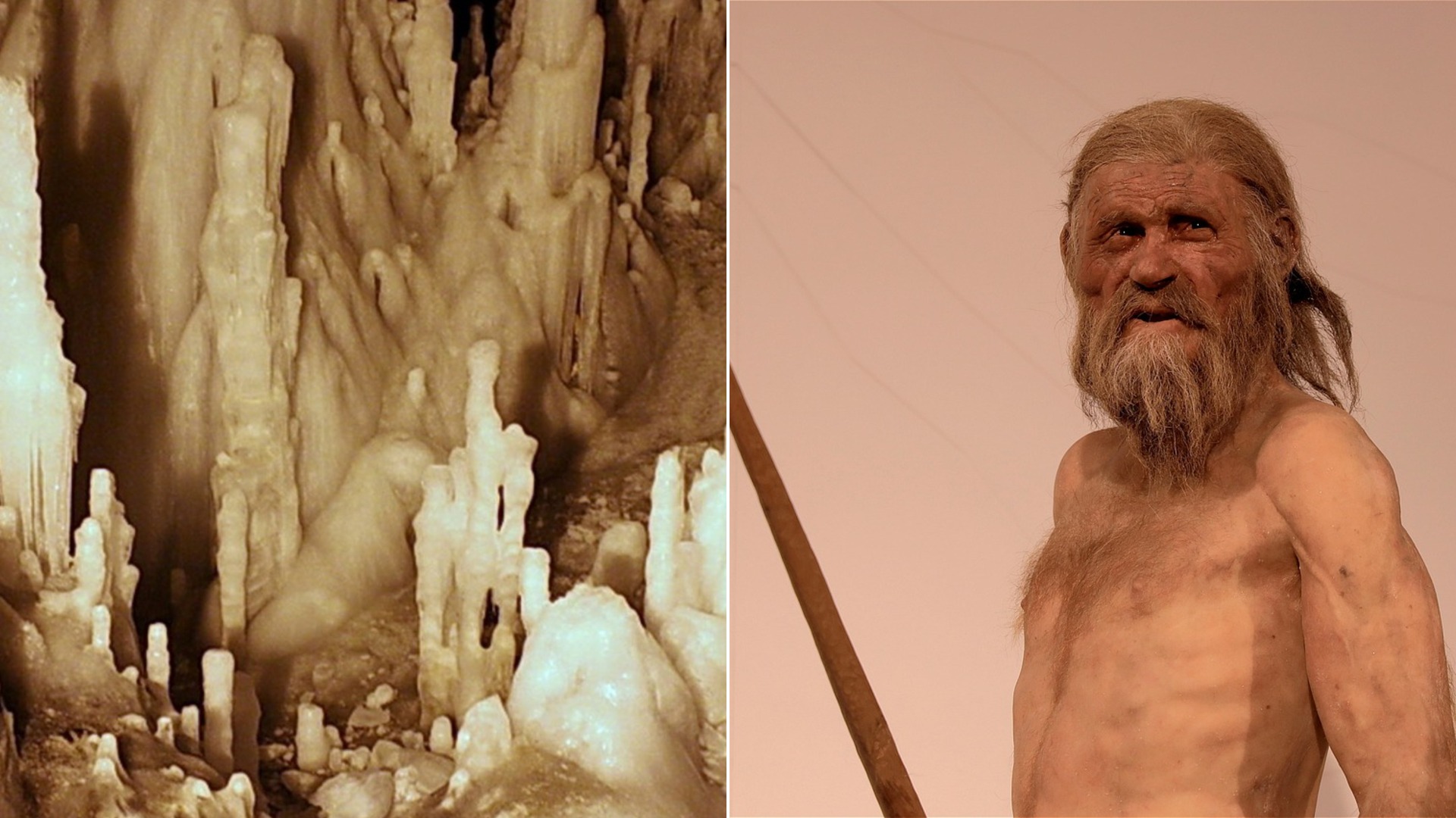15 Weirdest Things Ever Found Frozen in Ice