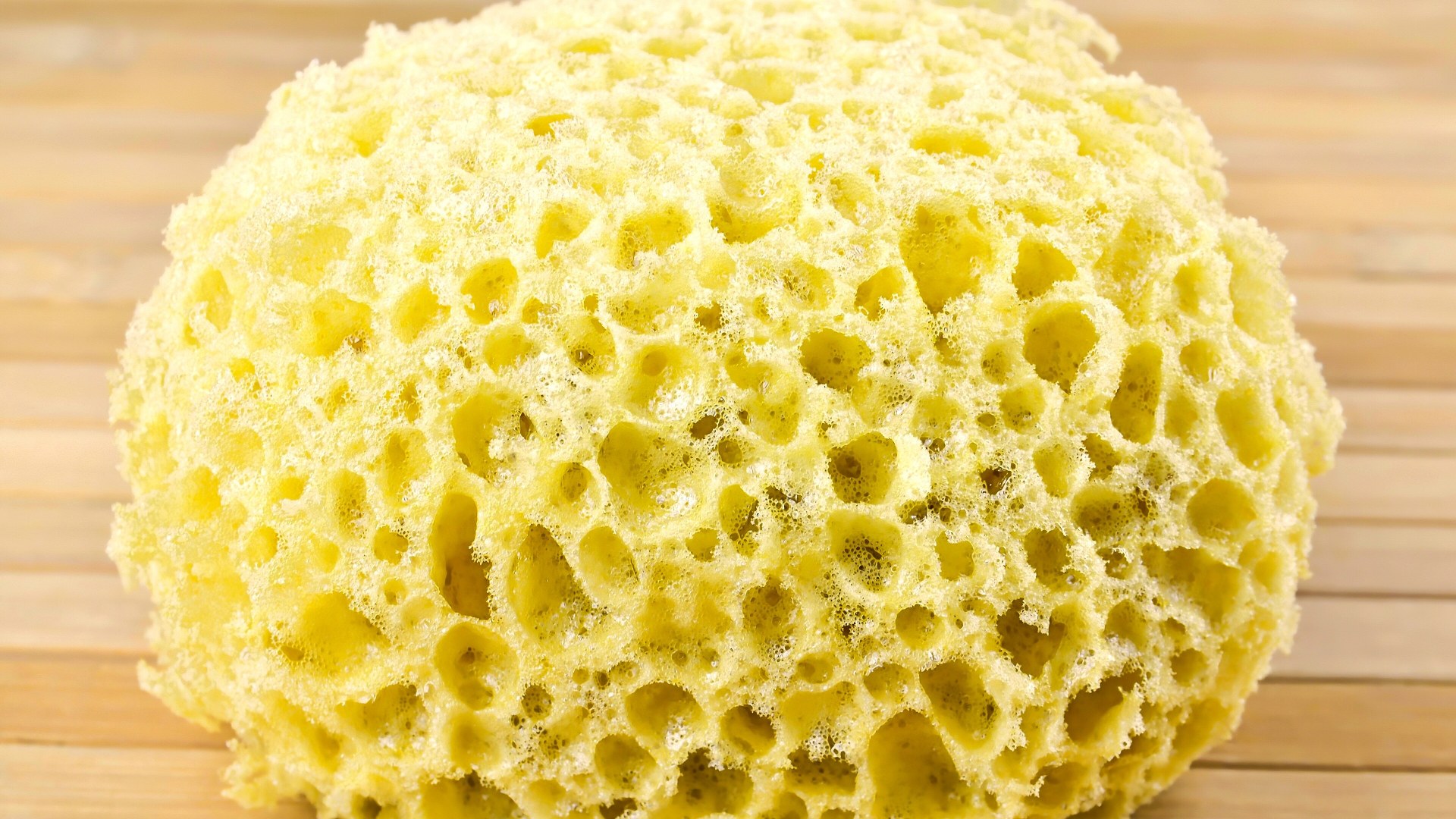 #1. Your Kitchen Dish Sponge — Replace Every 1–2 Weeks