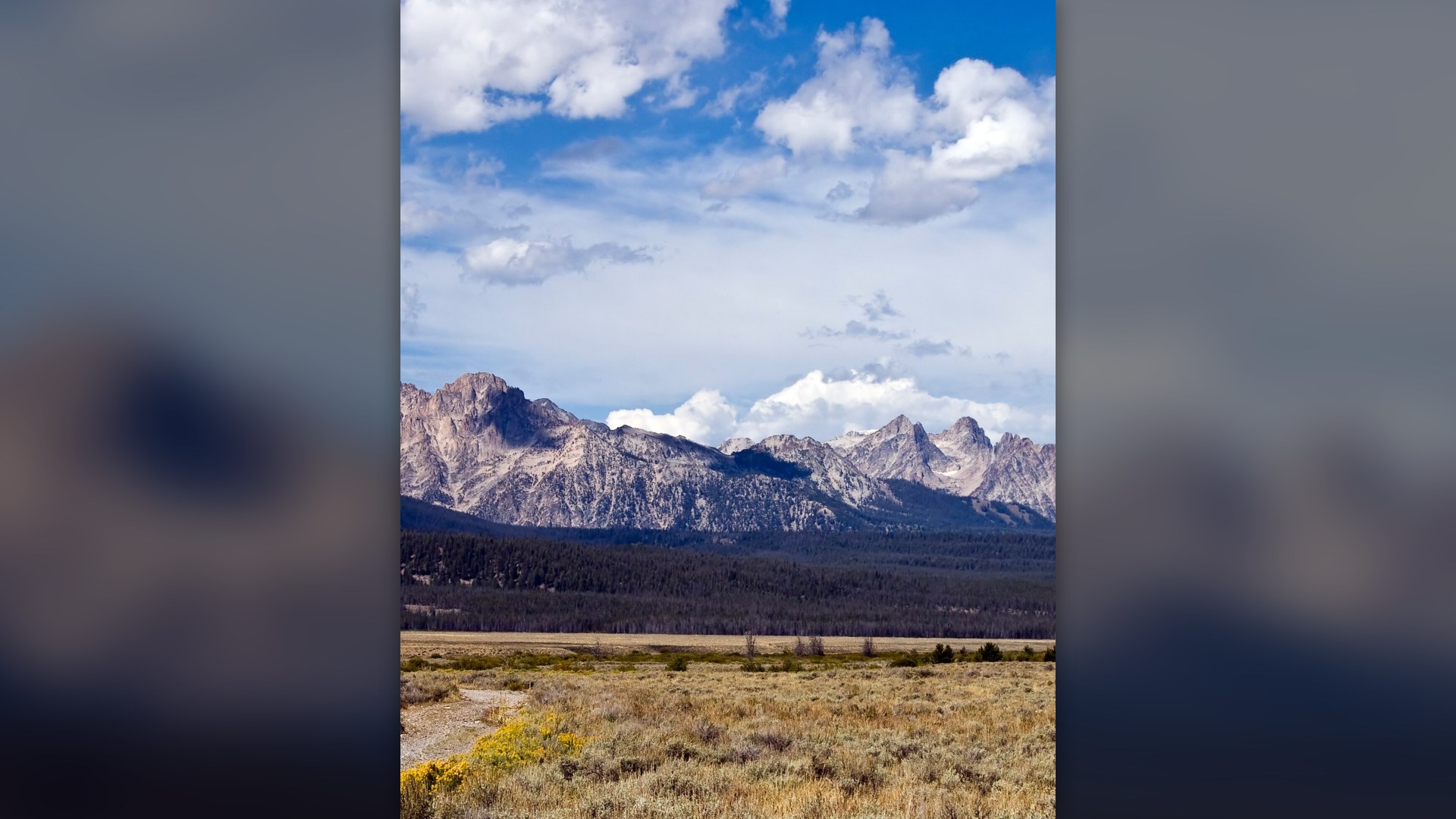 Granite peaks of the Sawtooth Mountain Range rising above valley meadows in central Idaho.