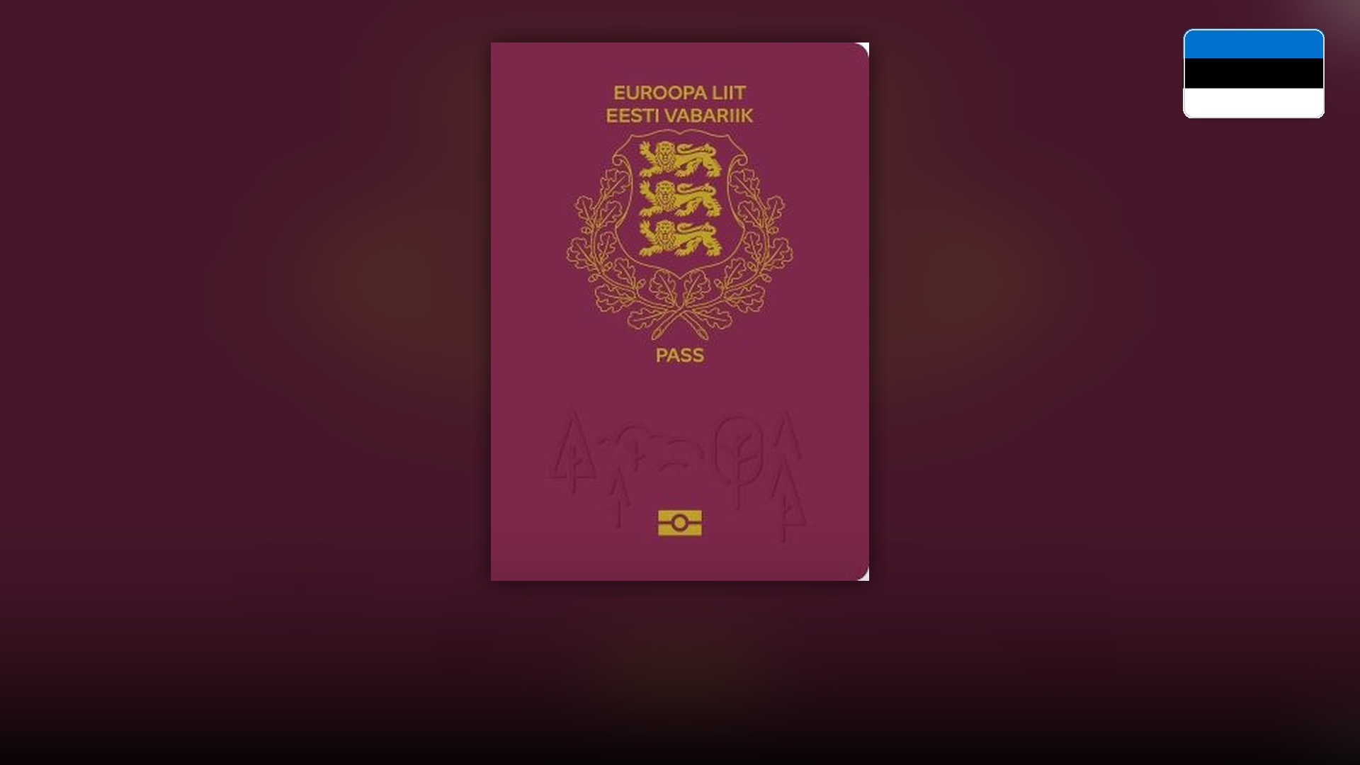 Burgundy Estonian passport booklet featuring three golden lions on the national shield.
