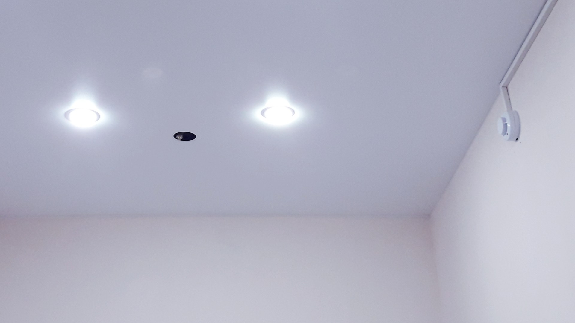 #2. Ceiling Smoke Detectors — Replace Every 10 Years