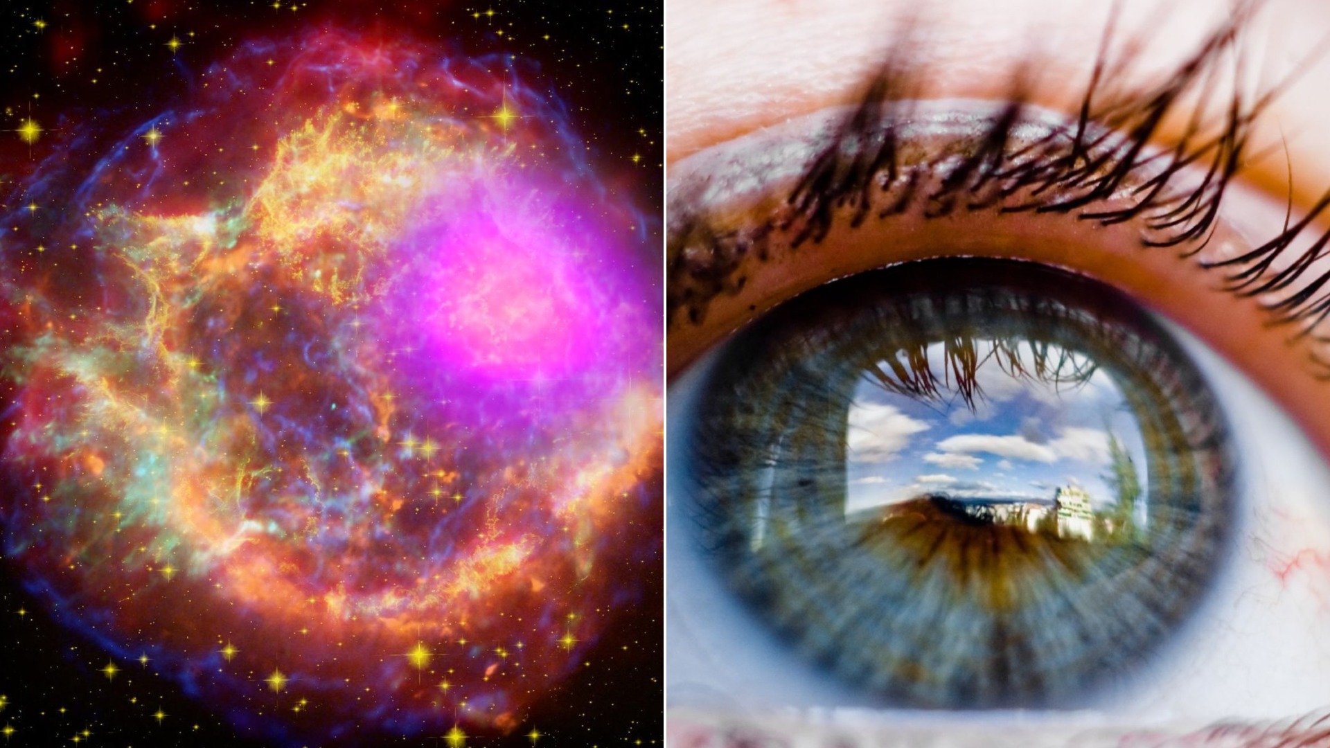 You're Made of Stardust: The Most Amazing Science Facts About You, Ranked