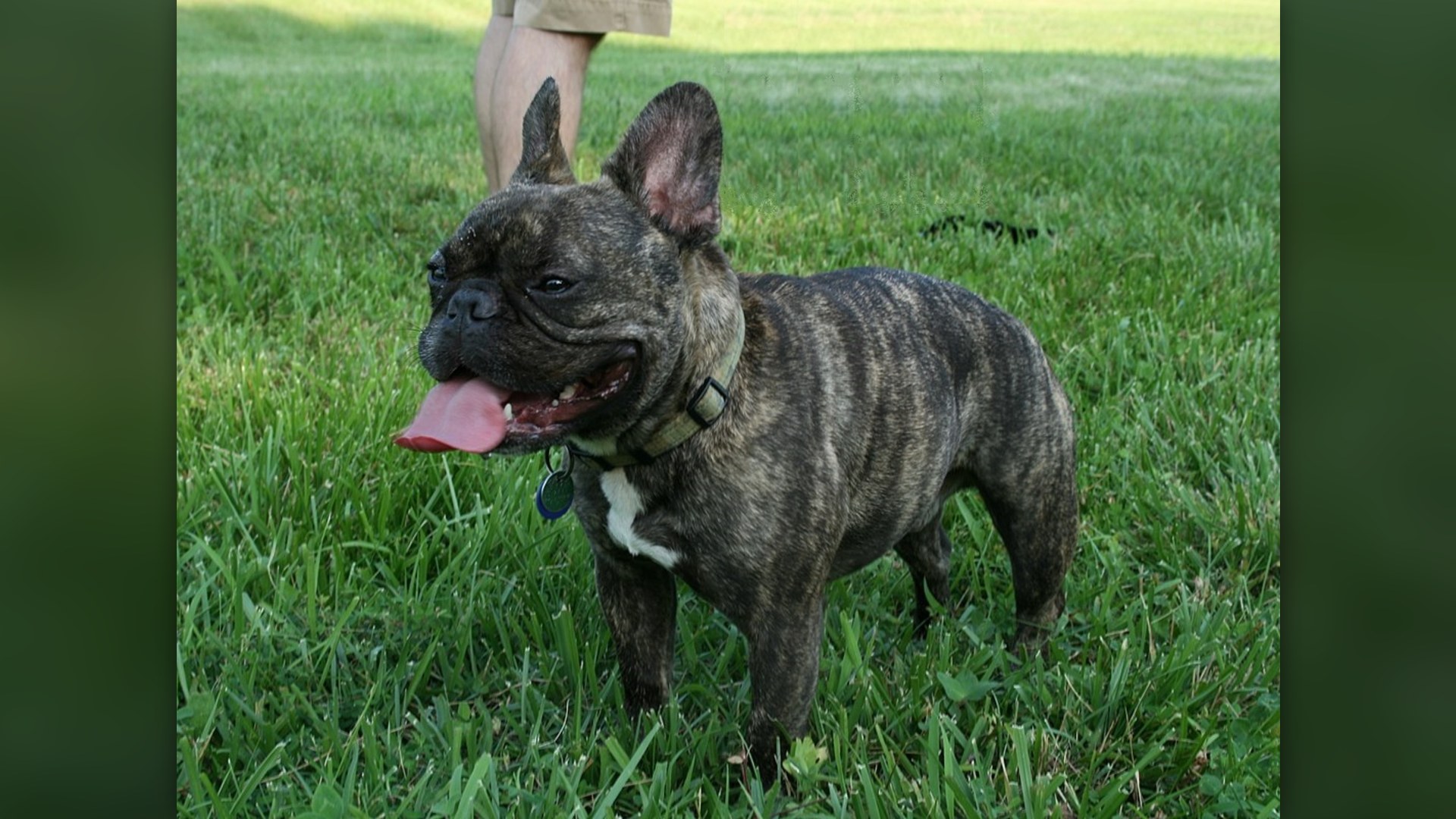 13. Lola