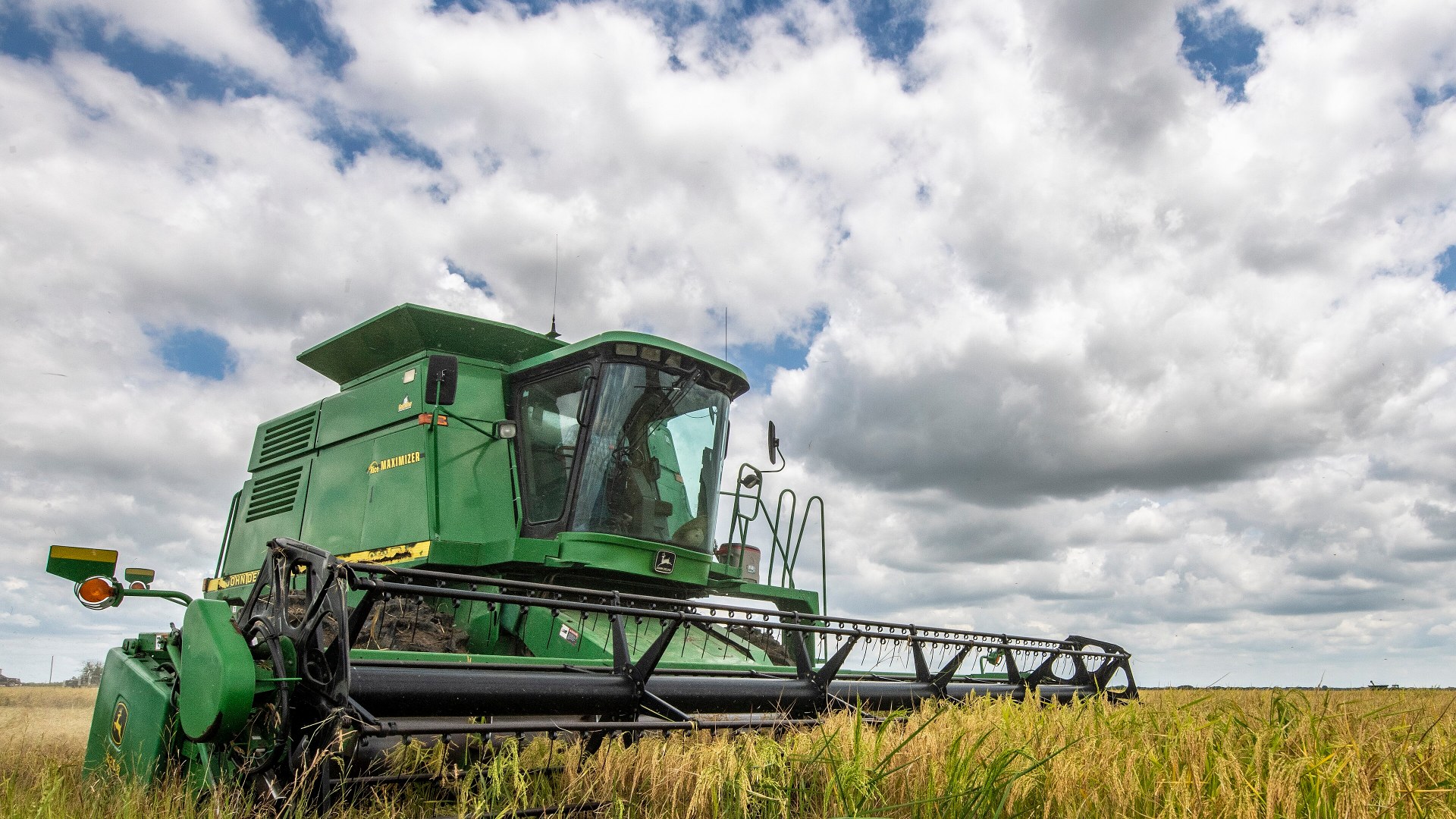 6. Agriculture Production & Management