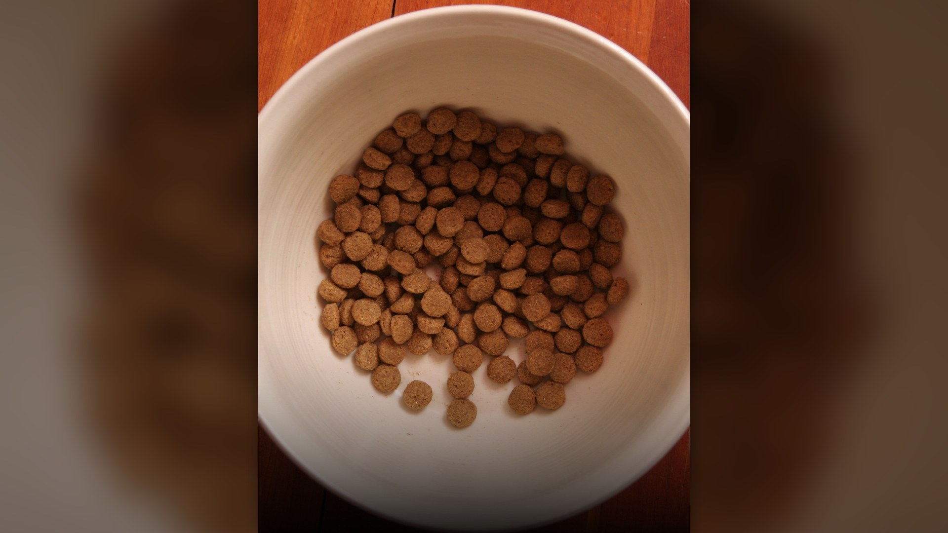 Household pet bowl filled with dry dog food kibble.