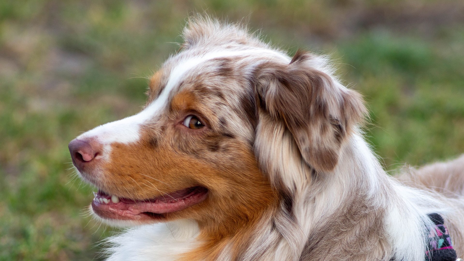 6. Cooper