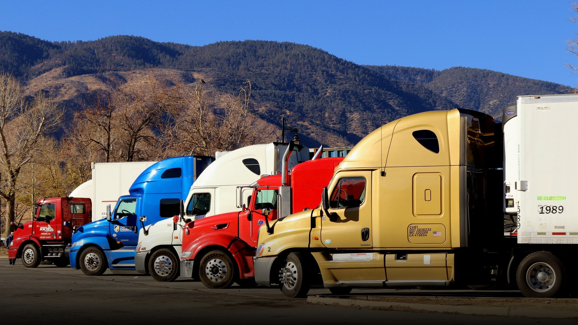 Semi-trailer trucks lined up at an American highway travel plaza.