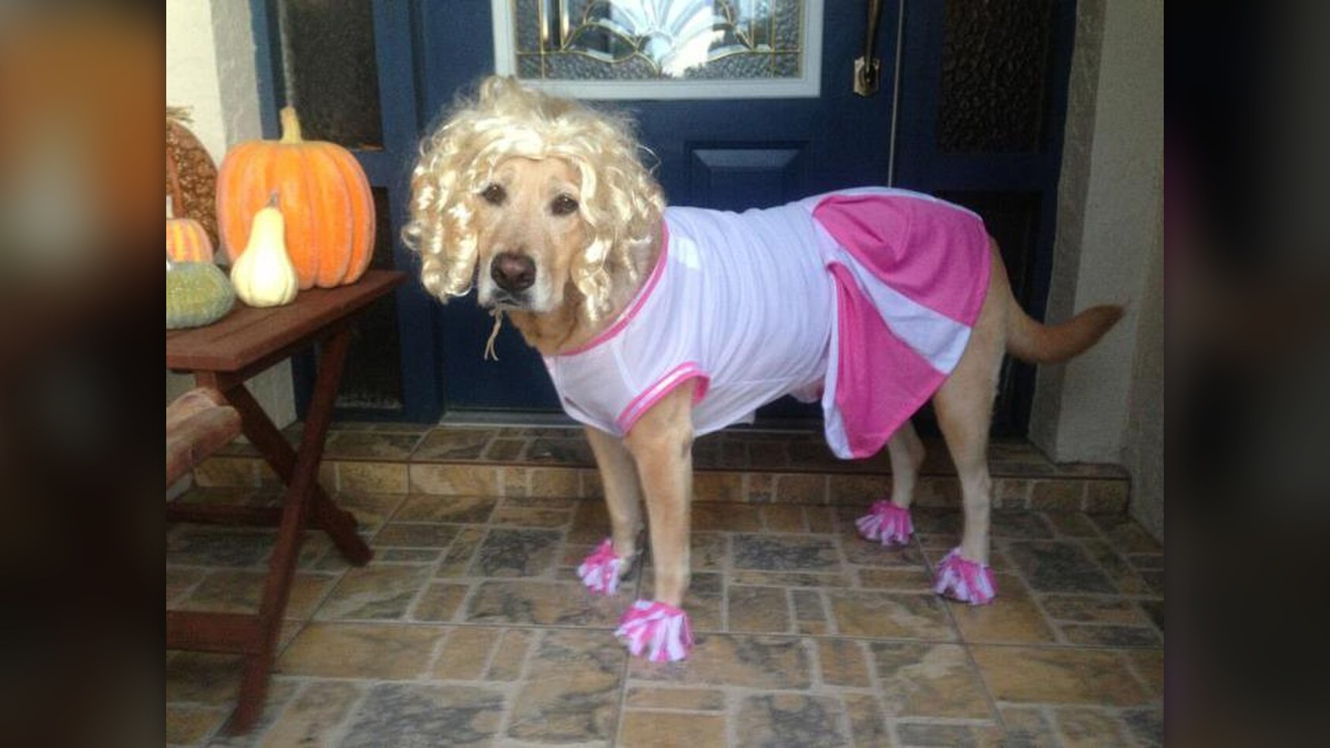 6. Check Costumes For Choking Hazards