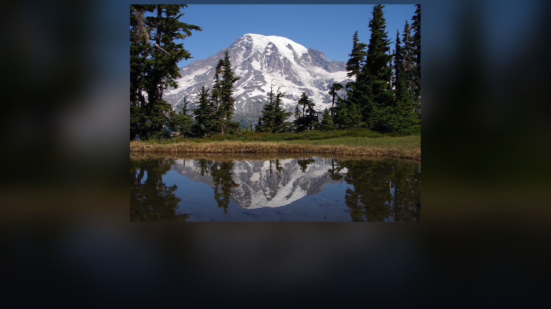 Panoramic view of Mount Rainier's glaciated snow-capped volcanic summit mirrored in Reflection Lake surrounded by evergreen pines.