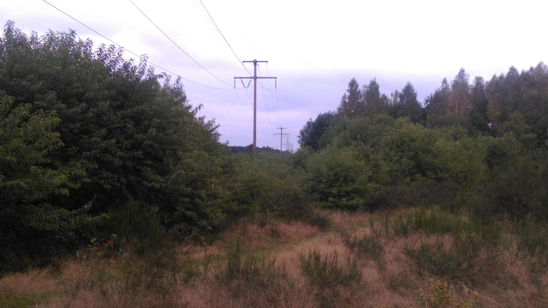Massive high-voltage electrical transmission pylons and power lines spanning across the countryside.