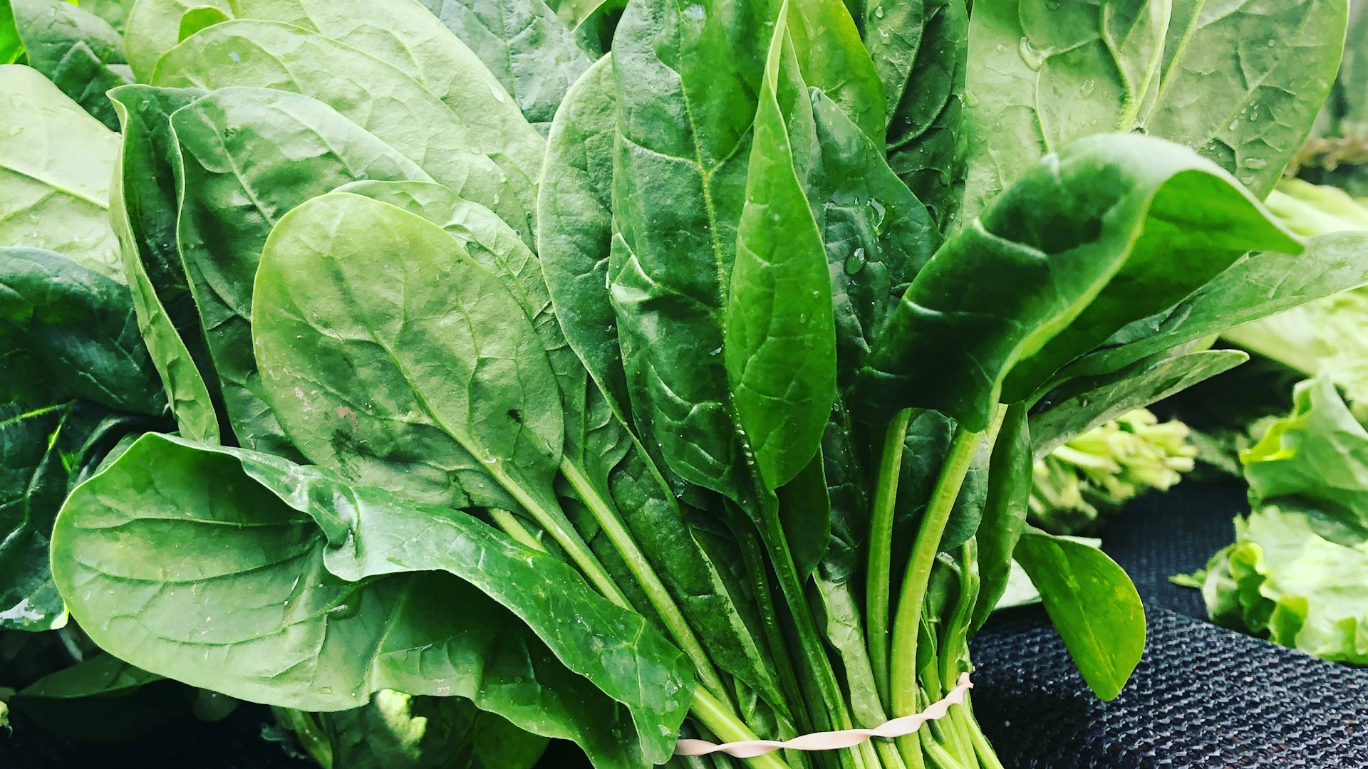6. Baby Spinach