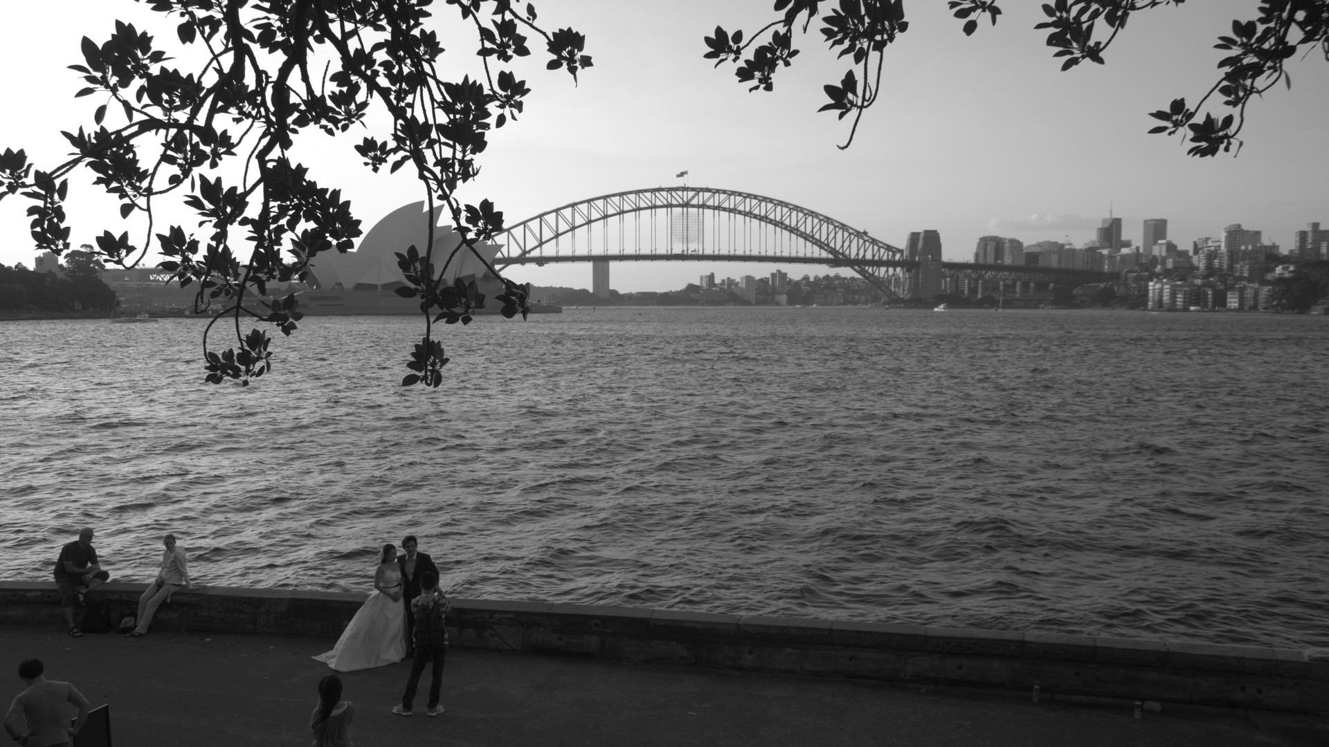 The white sail shells of Sydney Opera House and Sydney Harbour Bridge viewed across the harbor.