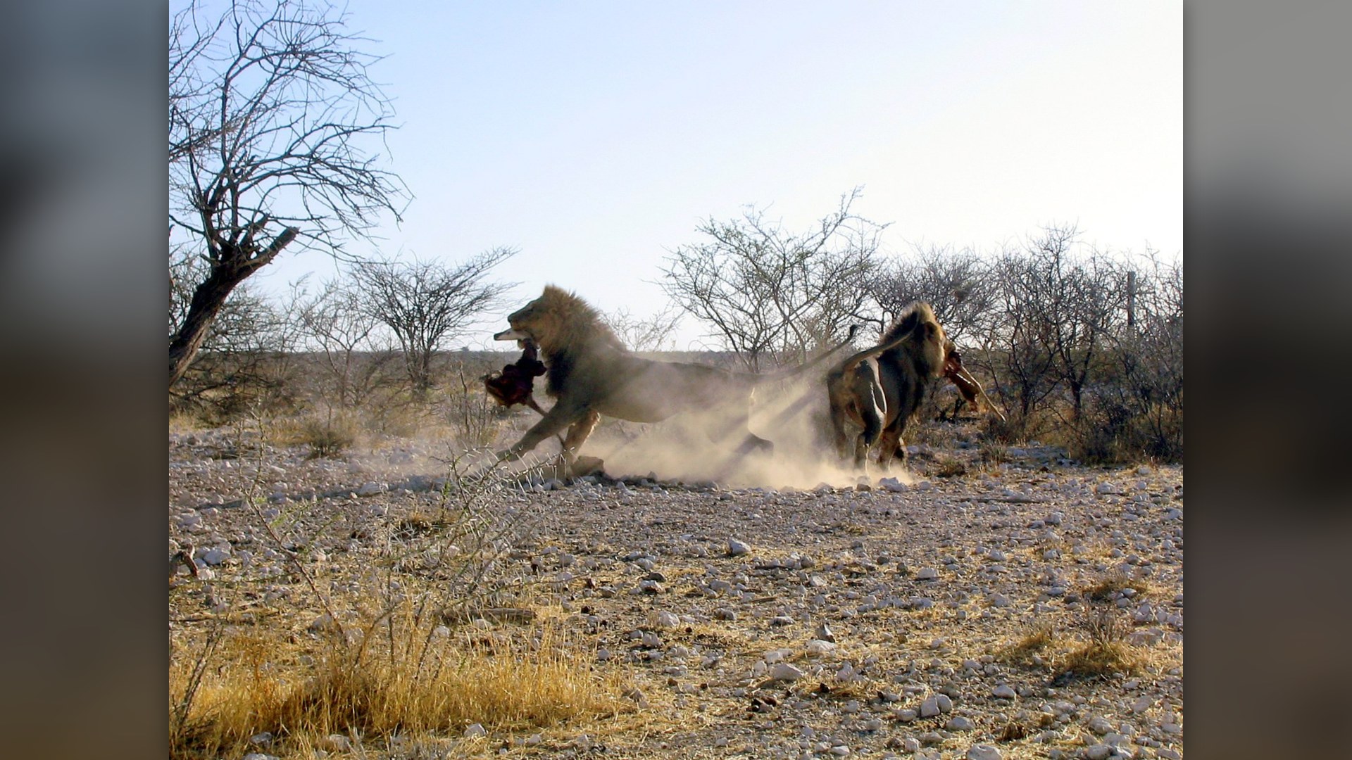 7. Violent Physical Combat