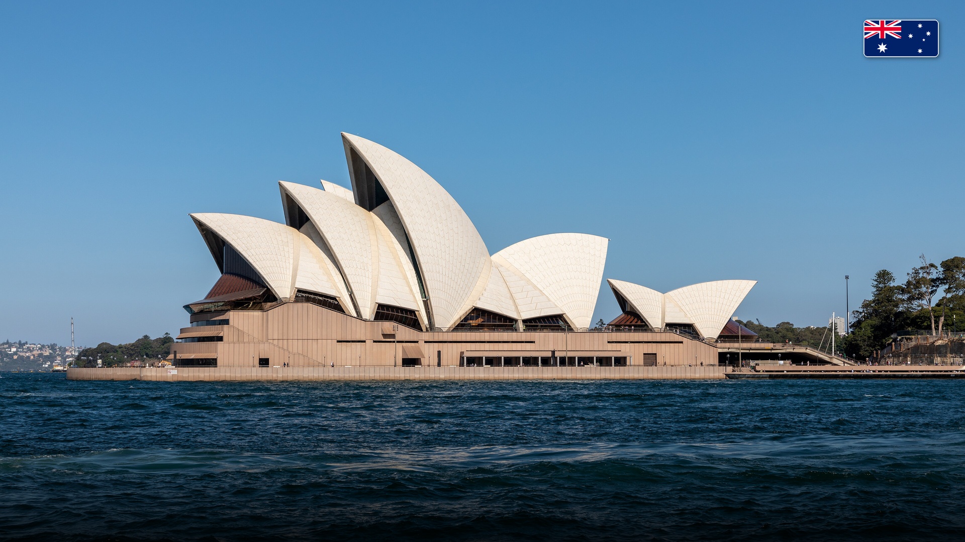 The Sydney Opera House with its white sail roofs rising above the blue waters of Sydney Harbour.