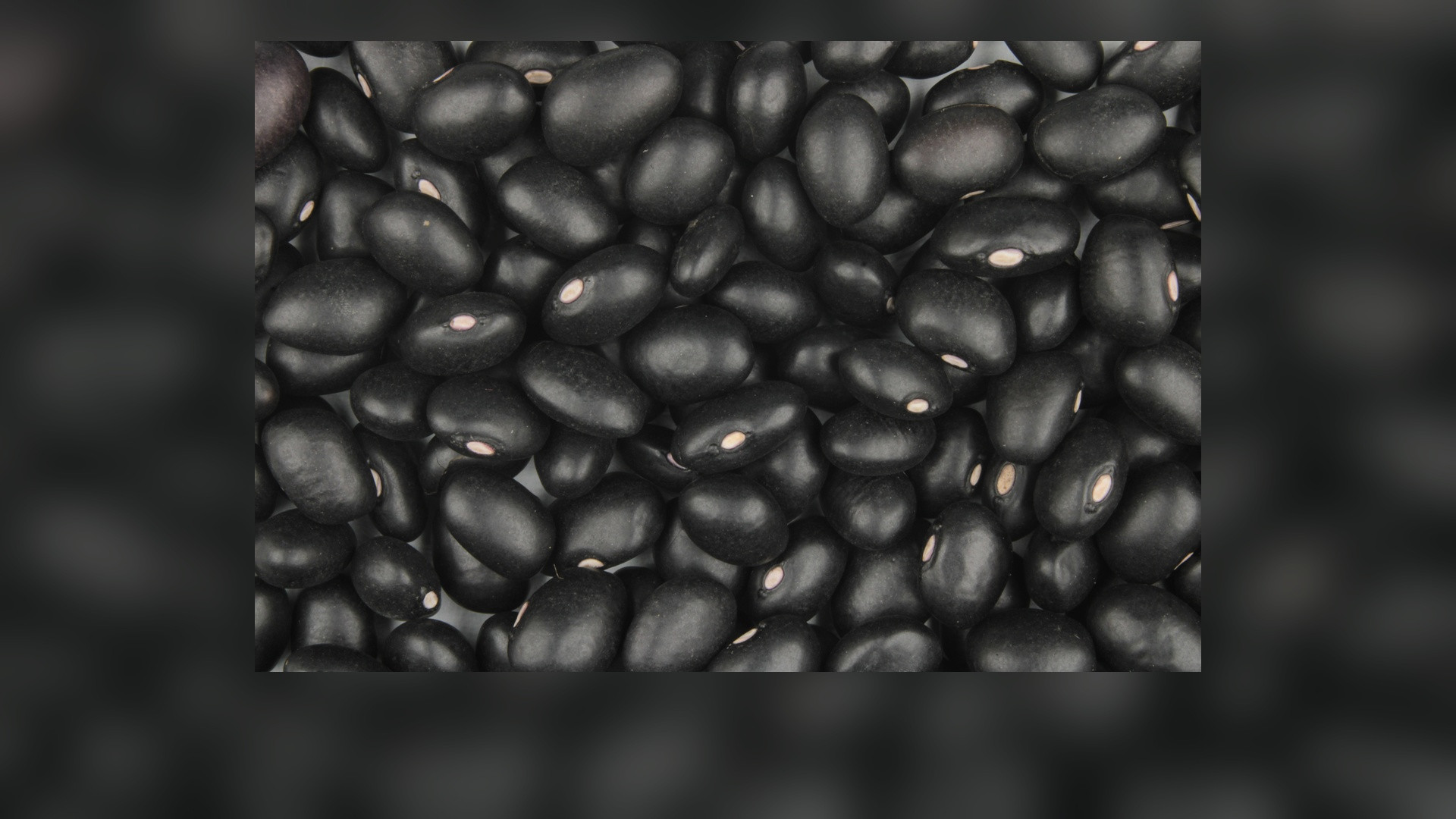 A bowl of freshly cooked organic black beans garnished with herbs.