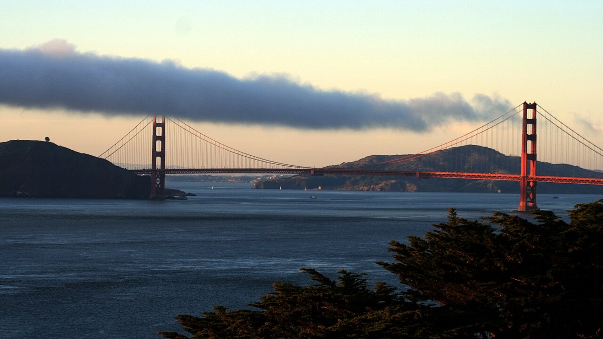 America's Wealth Capitals: The 10 States With the Most Billionaires