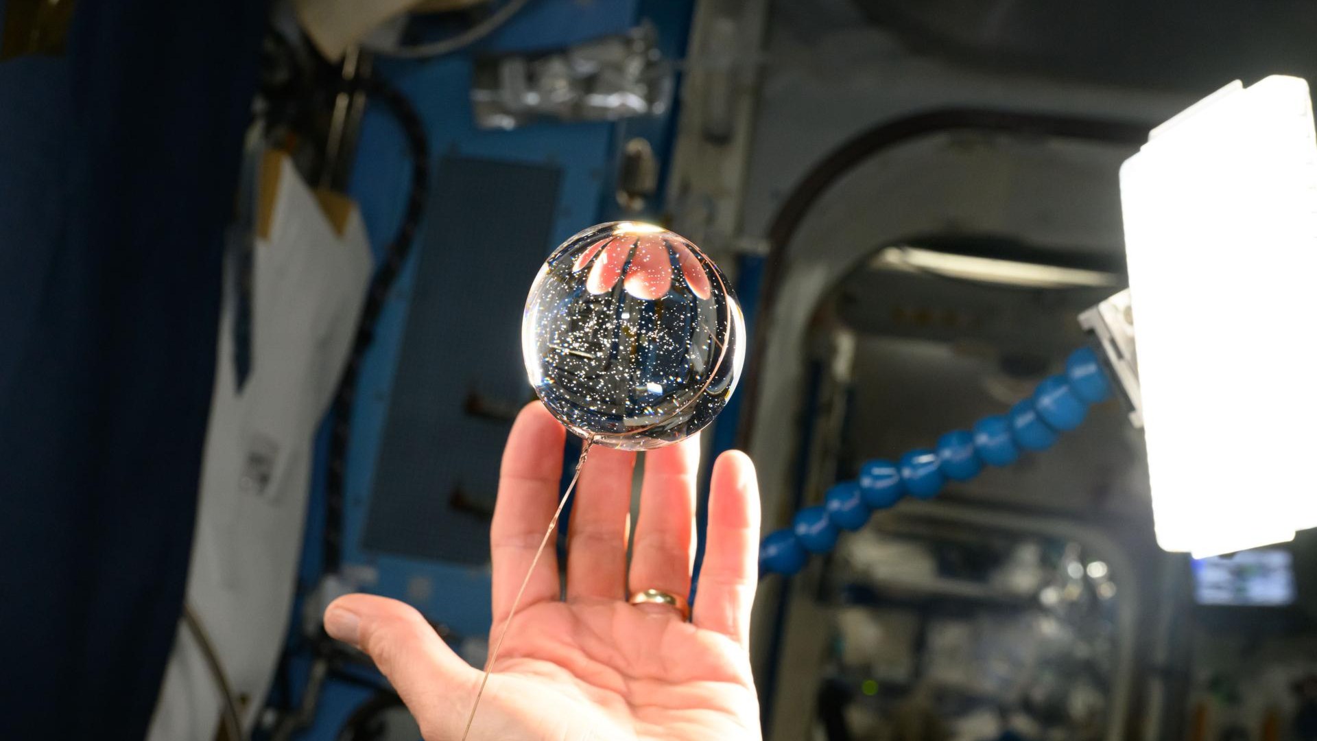 Astronaut Don Pettit looking at a floating sphere of water demonstrating microgravity surface tension aboard the ISS