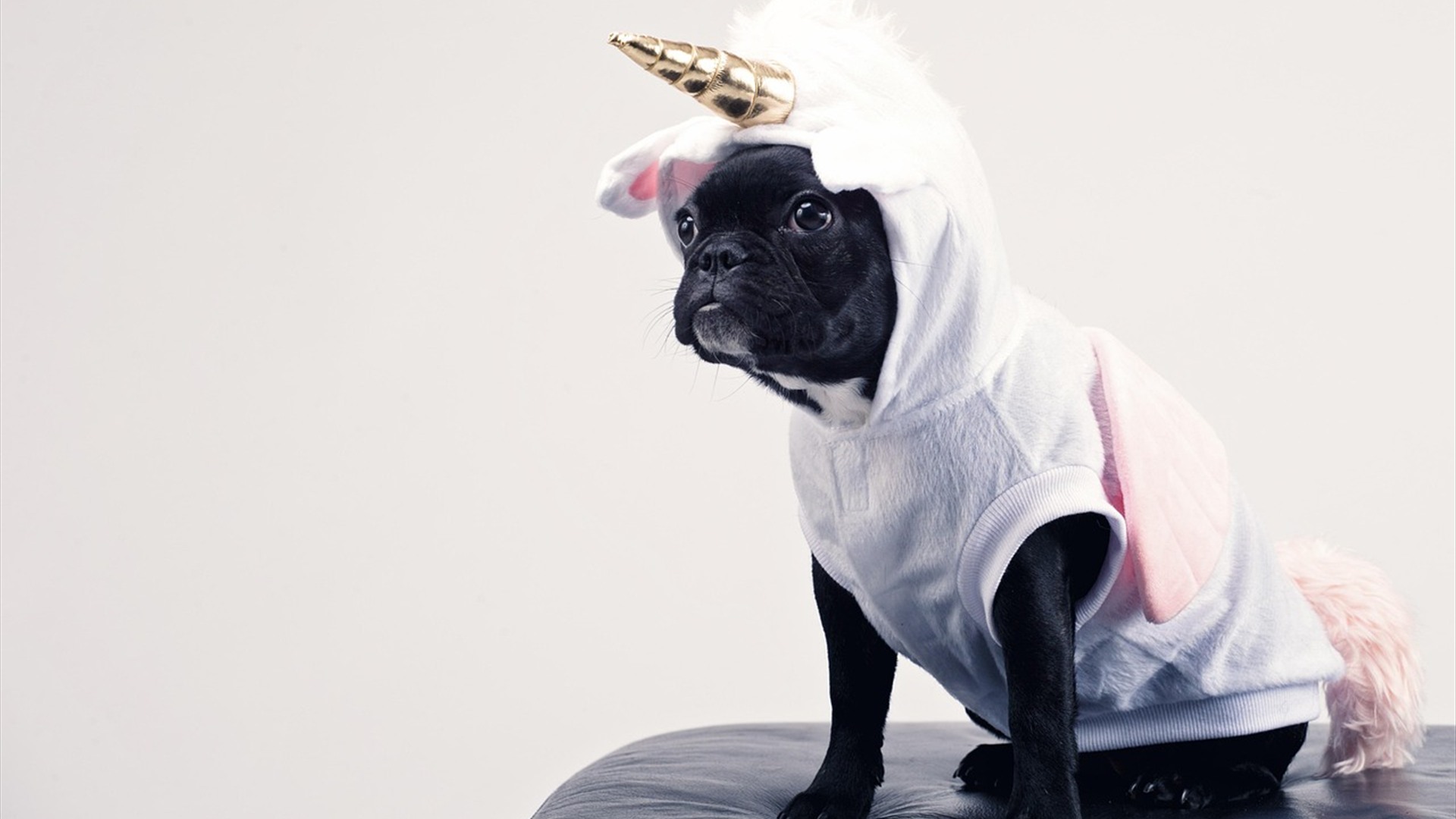 14. Costumes And Holiday Sweaters