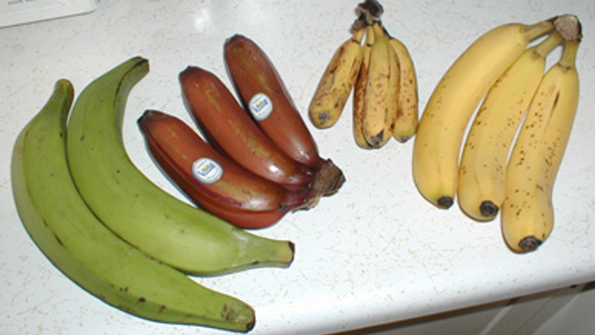 7. The Color Has Changed Dramatically